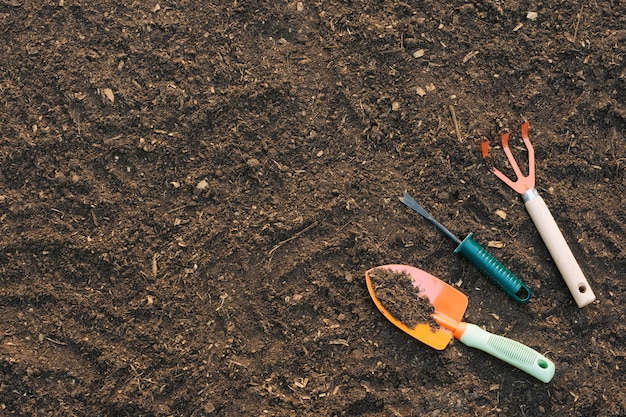 Fundo, de, solo, com, ferramentas, em, jardim