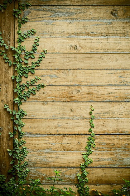 Fundo de textura