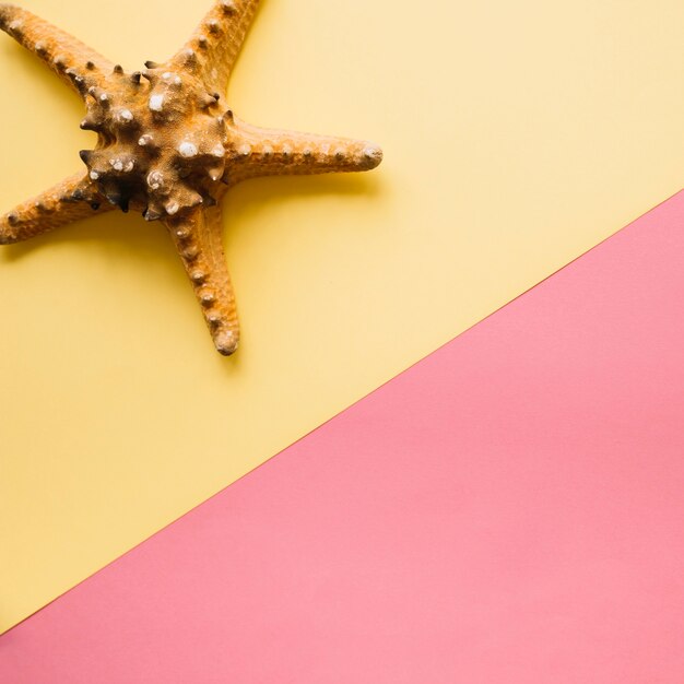 Fundo de verão com estrela do mar e copyspace