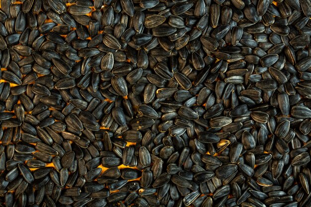 Fundo de vista superior de sementes de girassol preto
