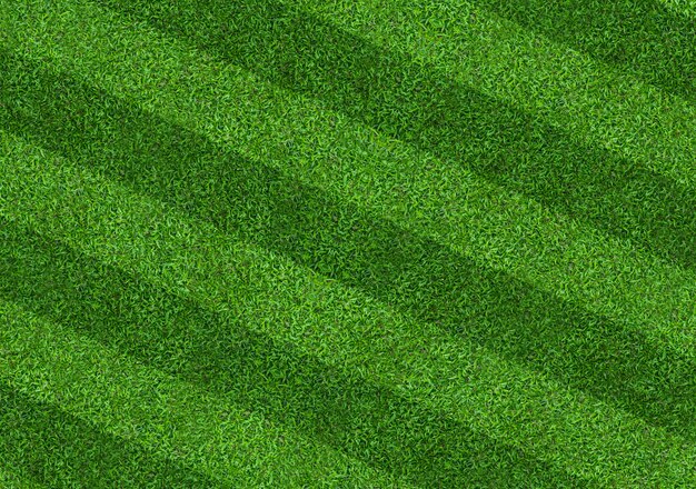 Featured image of post Fundo De Gramado De Futebol