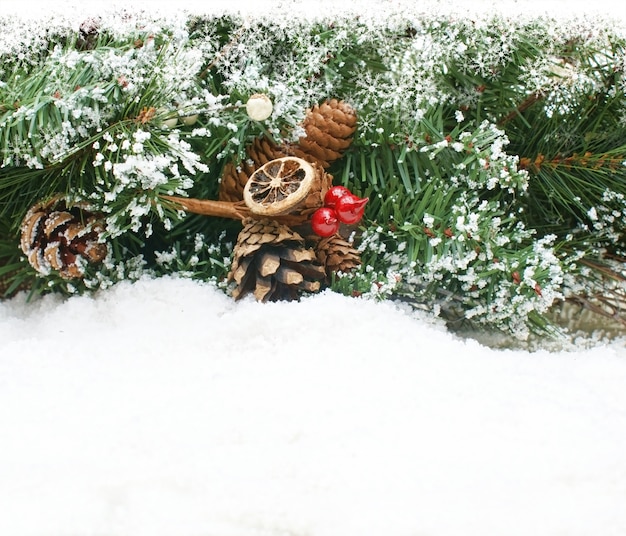 Fundo do Natal com filial de árvore situada na neve