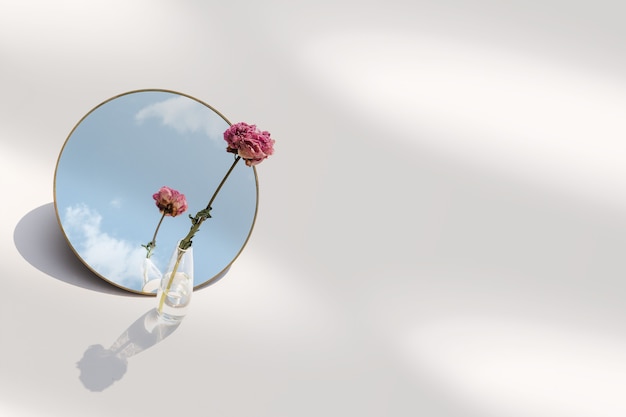 Foto grátis fundo estético de flor em um vaso