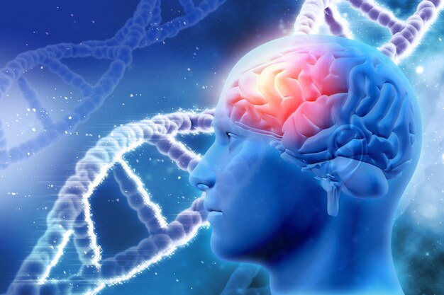 fundo médico 3D com cabeça masculina com cérebro e as costas do ADN