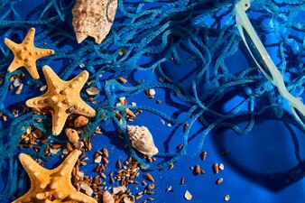 Fundo plano leigo com conchas de estrelas do mar na textura de água azul com luz solar