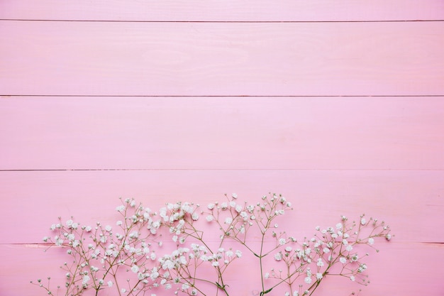 Fundo rosa com flores silvestres