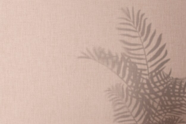 Fundo rosa com sombra de folhas de palmeira