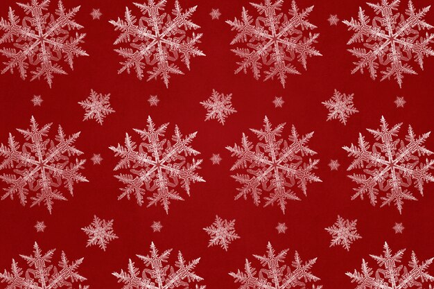 Fundo vermelho festivo com floco de neve, remix da fotografia de Wilson Bentley