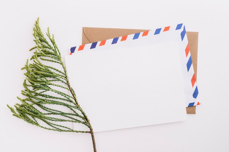 Foto grátis galho de cedro com envelope de correio no fundo branco