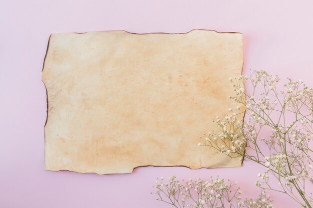 Foto grátis galho de planta fresca perto de papel