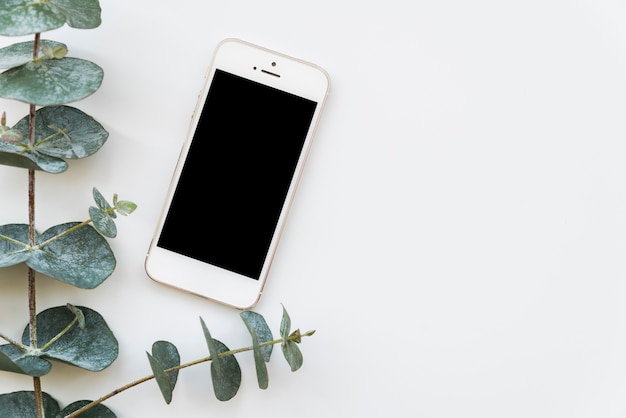 Foto grátis galho de planta verde fresco com smartphone