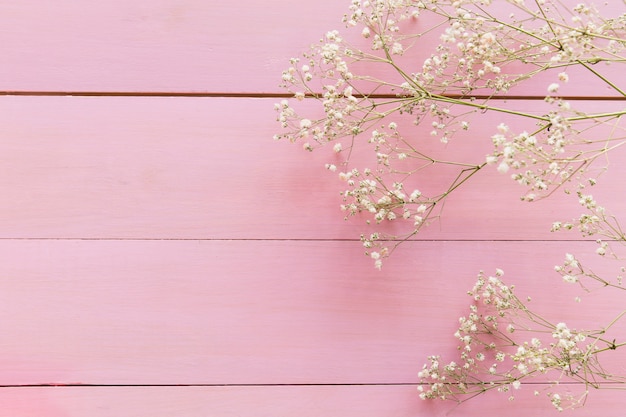 Foto grátis galhos de planta com flores