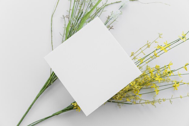 Galhos de plantas brilhantes e folha