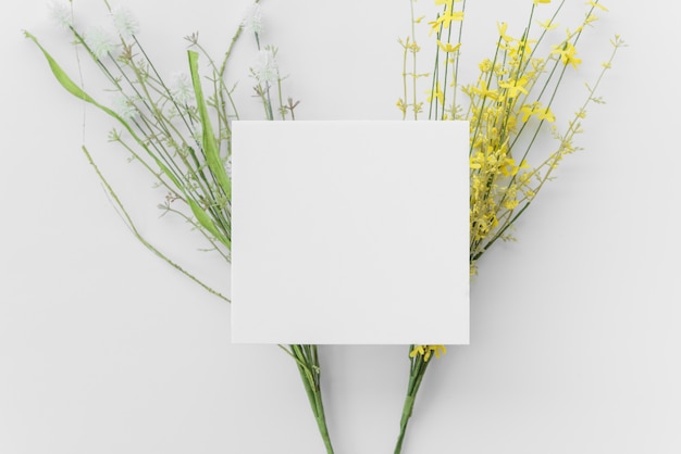 Galhos de plantas brilhantes e papel