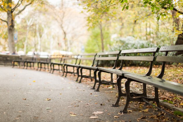 Gama de bancos de madeira no parque com muitas folhas de outono caídas com um desfocado