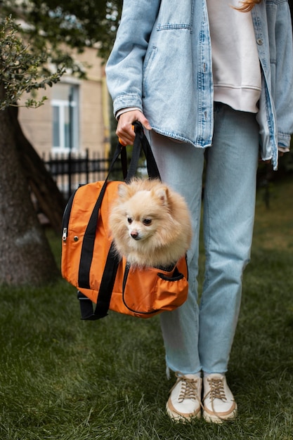 Foto grátis garota de vista frontal carregando cachorrinho na bolsa