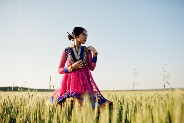 Garota indiana tenra em saree com lábios violetas maquiagem posada no campo no pôr do sol Modelo elegante da índia