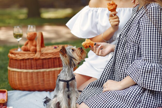 garotas bonitas em um parque brincando com cachorro