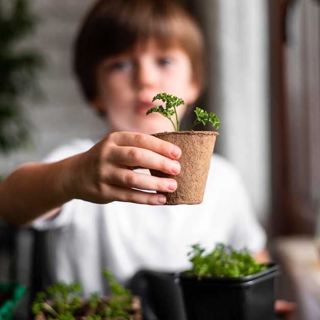 Garotinho desfocado segurando uma planta em um vaso em casa