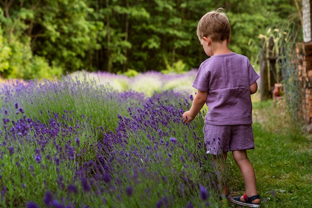 Garoto de vista traseira no campo de lavanda