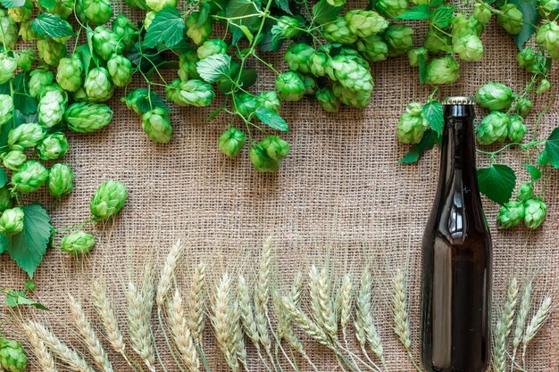 Garrafa de cerveja com ingredientes de fabricação de cerveja. Flor de lúpulo com trigo. Vista do topo