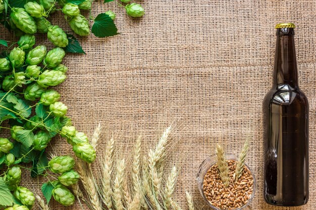 Garrafa de cerveja com ingredientes de fabricação de cerveja. Flor de lúpulo com trigo. Vista do topo