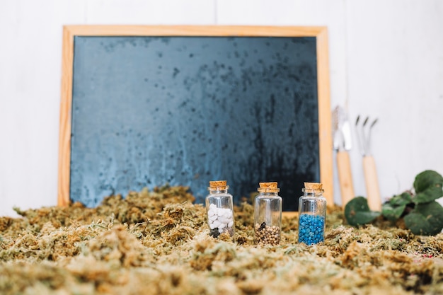 Foto grátis garrafas com sementes perto do quadro-negro