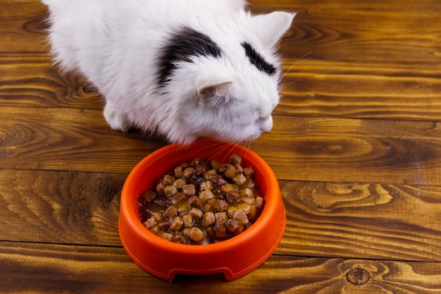 Gato bonito comendo sua comida da tigela de plástico laranja no chão de madeira