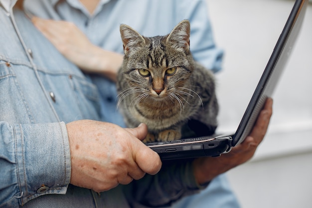 Foto grátis gato bravo em um laptop