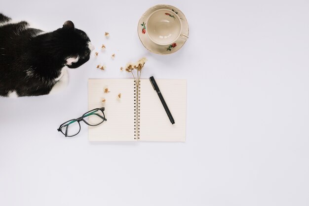 Gato sentado perto do caderno espiral aberto com caneta de feltro; óculos e copo vazio no pano de fundo branco