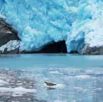Foto grátis geleira no alasca