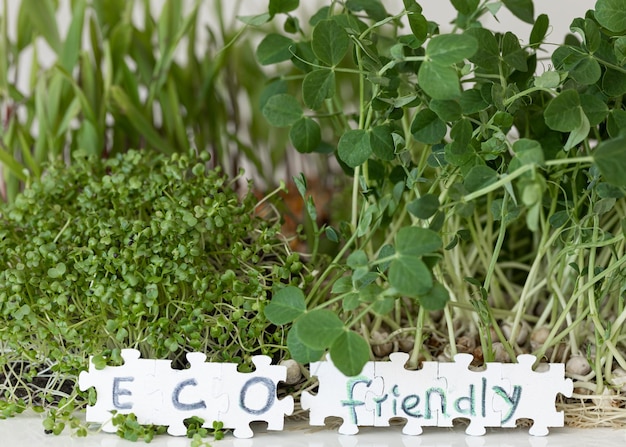 Foto grátis germinação de microgreens germinação de sementes em casa
