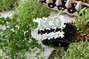 Foto grátis germinação de microgreens germinação de sementes em casa