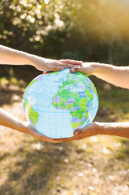 Foto grátis globo azul nas mãos com a floresta no fundo