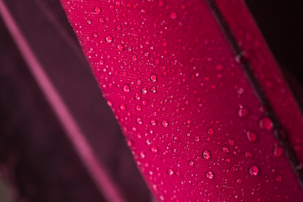 Foto grátis gotas de água na superfície de penas cor de rosa