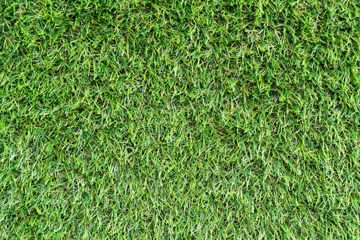 Foto grátis grama artificial para o fundo