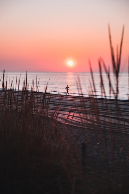 Foto grátis grama em uma praia cercada pelo mar durante um belo pôr do sol em jesolo itália