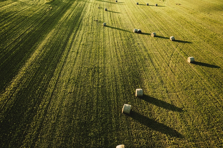 Foto grátis grande e belo campo agrícola com pilhas de feno, tiro de cima
