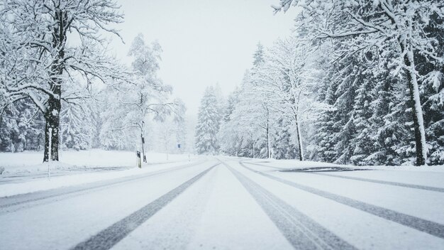 Grande plano de uma estrada totalmente coberta de neve com pinheiros de ambos os lados e vestígios de carros
