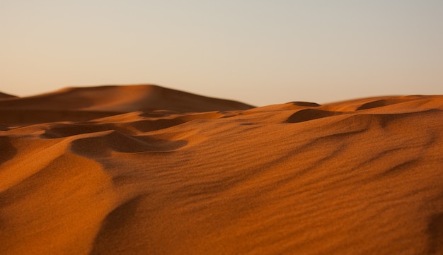 Foto grátis grande plano do deserto de areia erg