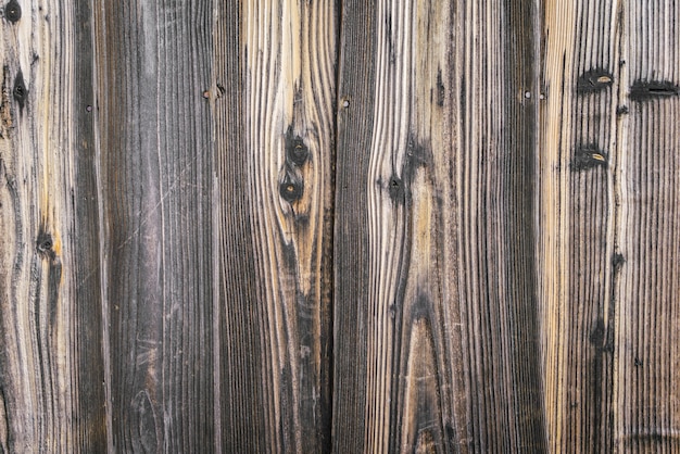 Grão painel material abstrato madeira