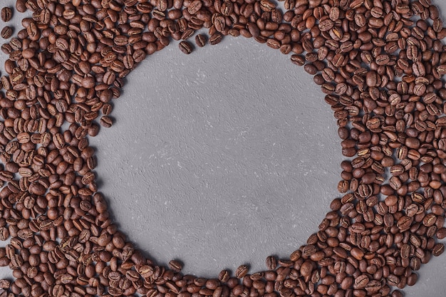Grãos de café arábica em forma de círculo.
