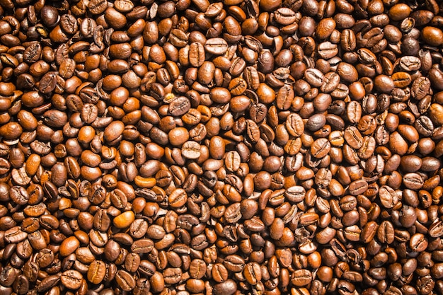 Grãos de café castanha e sementes