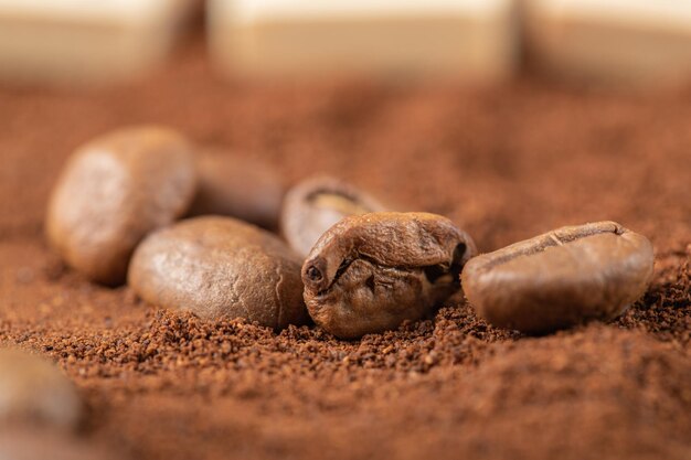 Grãos de café no café misturado ou cacau em pó.