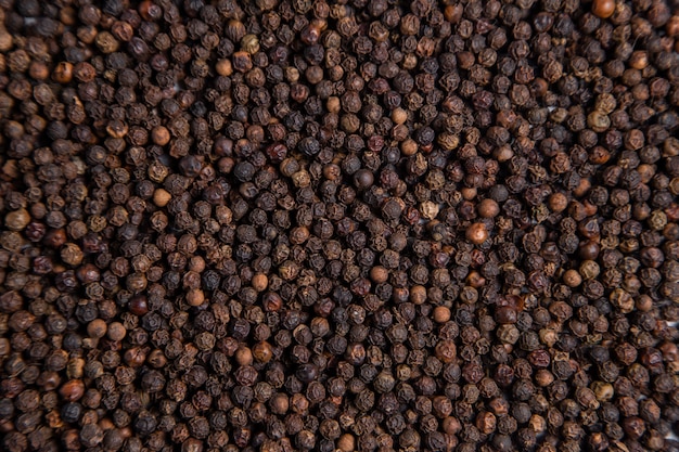 Grãos de pimenta preta moída como pano de fundo. Foto de alta qualidade