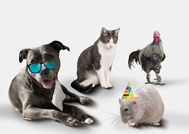Grupo de animais bonitos em fundo branco