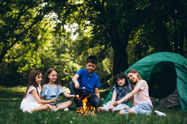 Grupo de crianças na floresta pela fogueira com mushmellows