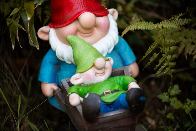 Grupo de diferentes gnomos de jardim engraçados