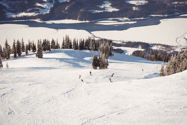 Grupo de esquiadores esquiando nos Alpes nevados