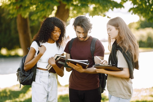 Grupo de estudantes internacionais juntos no parque da Universidade. Garotas africanas e brancas e um indiano conversando ao ar livre